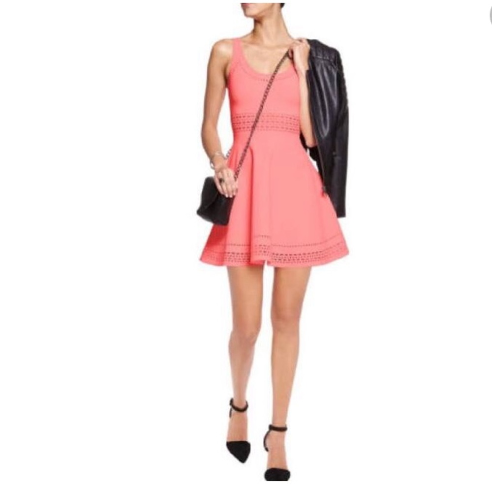 Elizabeth & James Pink Laser Cut Dress 00 Intermix
